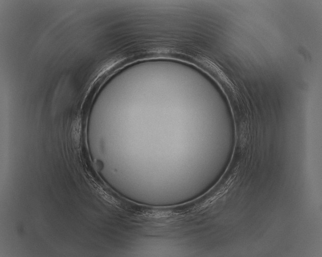 X0000116550831200912241554