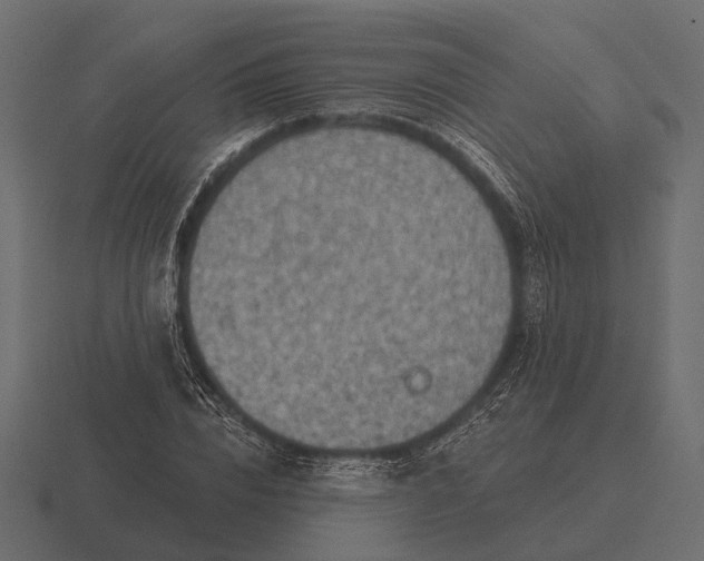 X0000116550832200912241554