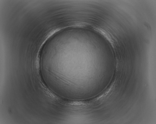 X0000116550835200912241554