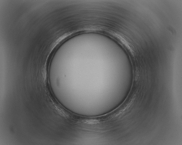 X0000116550837200912241554