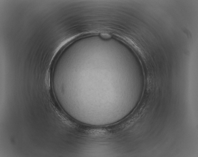 X0000116550838200912241554