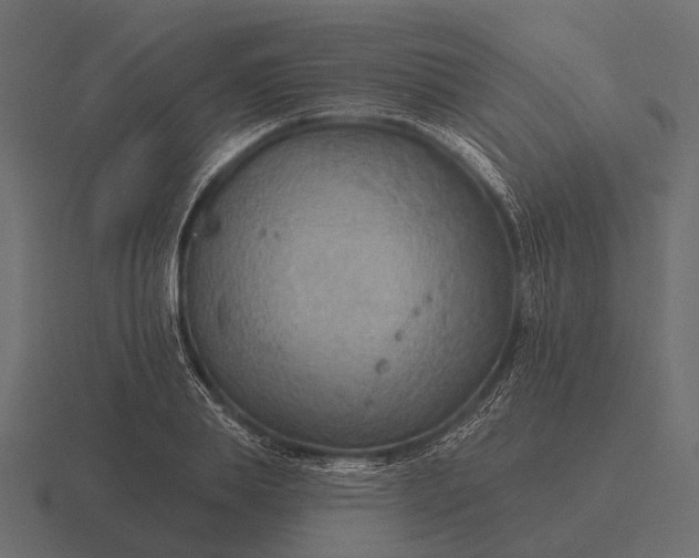 X0000116550839200912241554