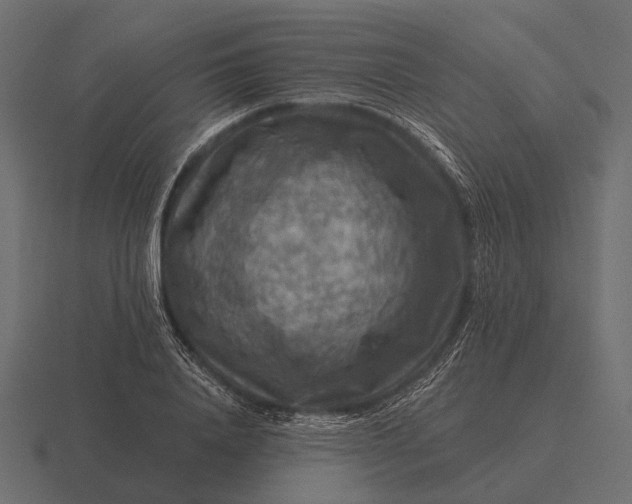 X0000116550840200912241554