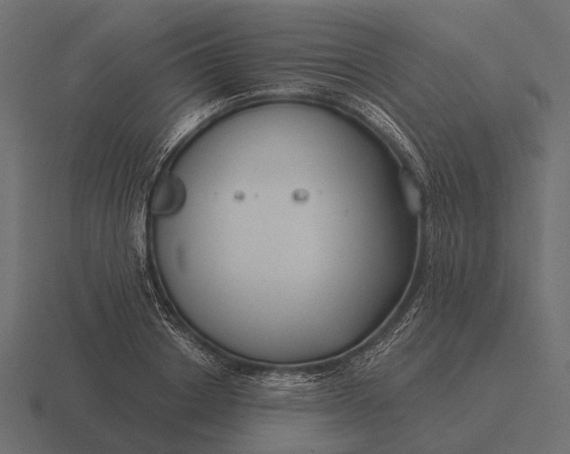 X0000116550842200912241554