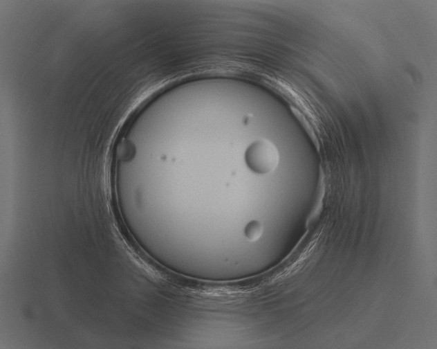 X0000116550843200912241554