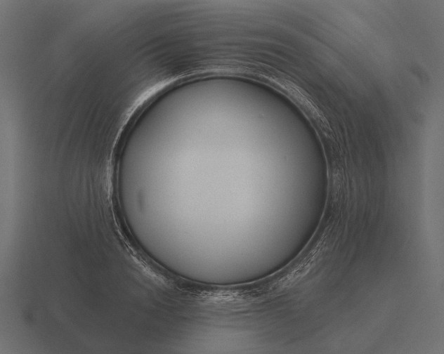 X0000116550846200912241554