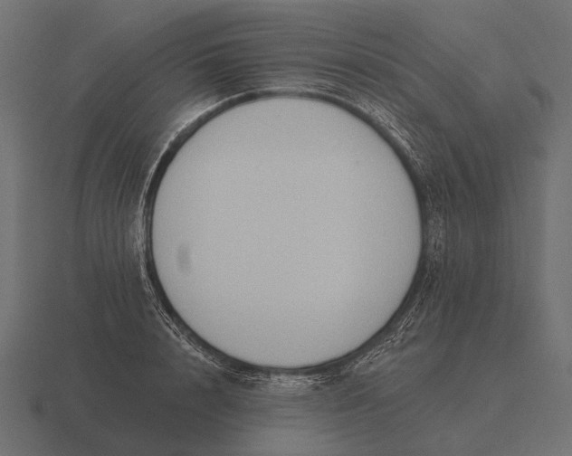 X0000116550848200912241554