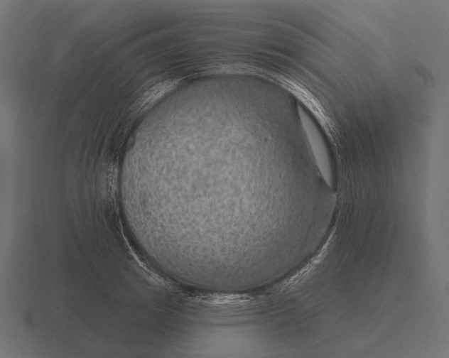 X0000116550849200912241554