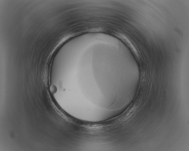 X0000116550851200912241554