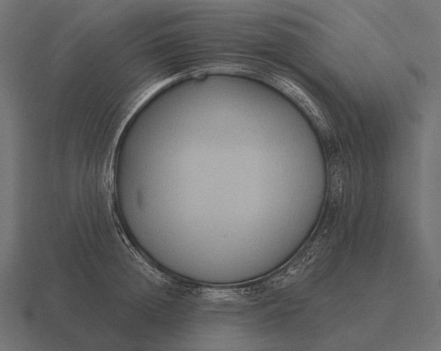 X0000116550852200912241554