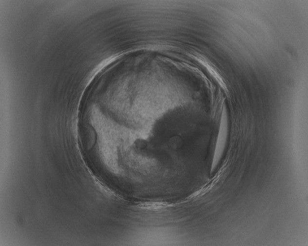 X0000116550853200912241554