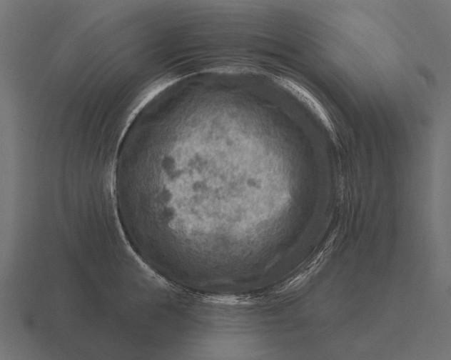 X0000116550855200912241554