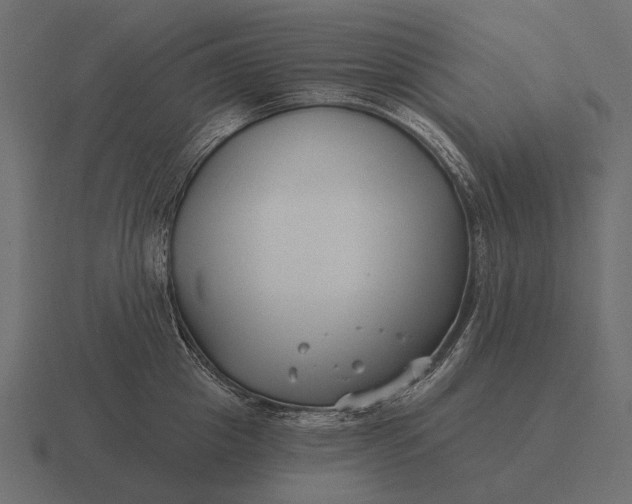 X0000116550857200912241554