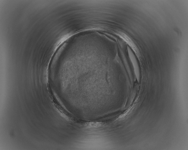 X0000116550858200912241554