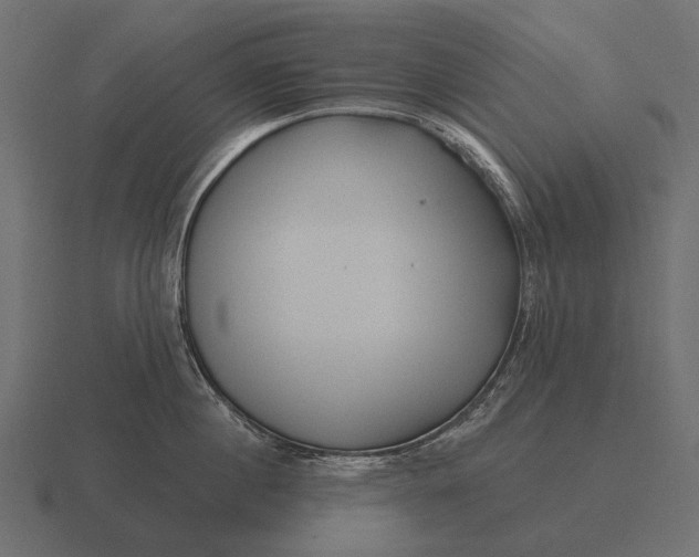 X0000116550860200912241554