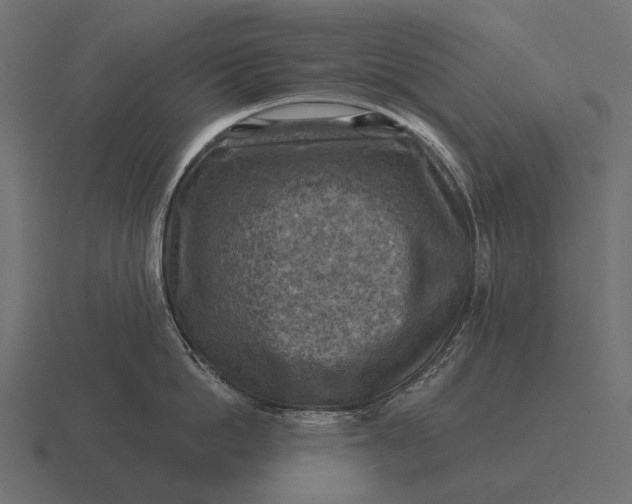 X0000116550862200912241554