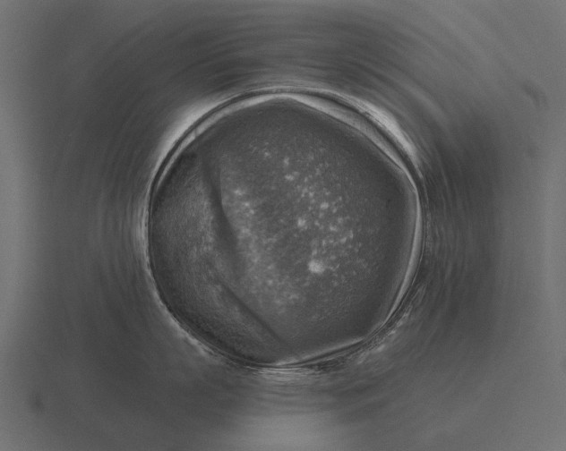 X0000116550863200912241554