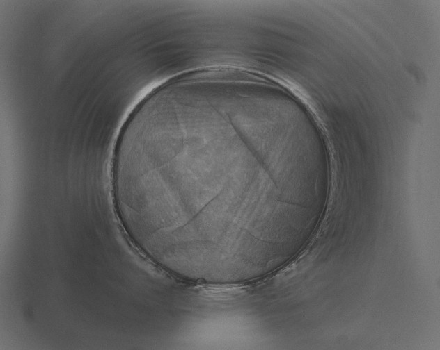 X0000116550864200912241554