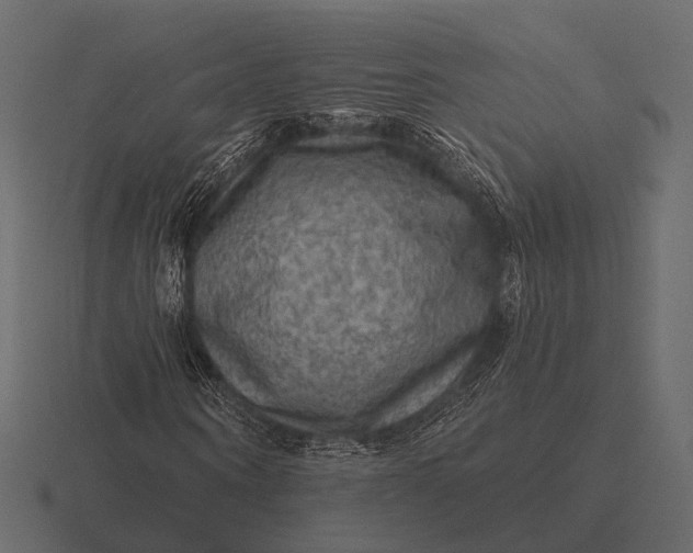 X0000116550866200912241553