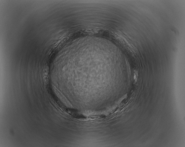 X0000116550867200912241553