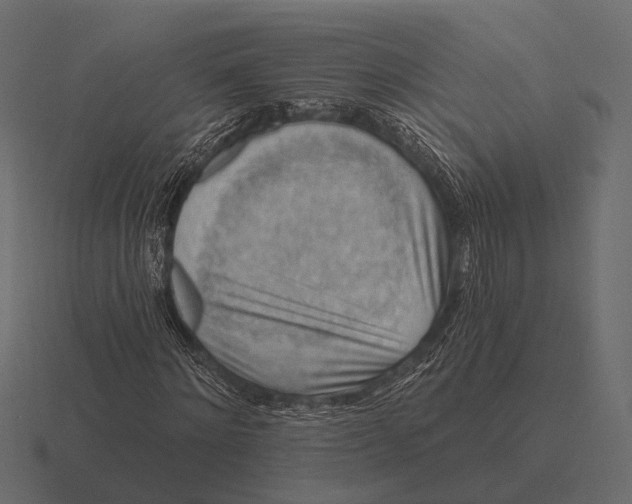 X0000116550868200912241553