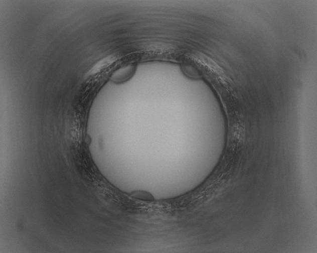 X0000116550869200912241553