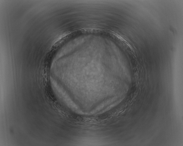 X0000116550870200912241553