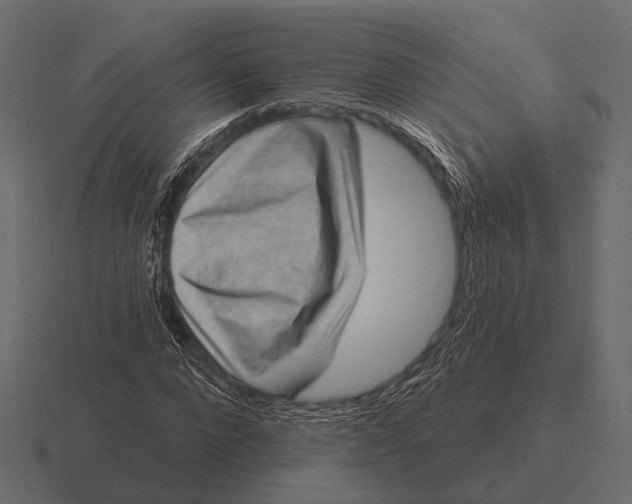 X0000116550872200912241553