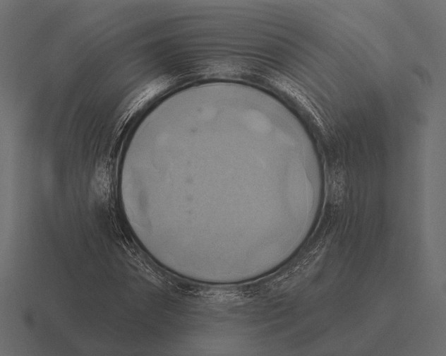 X0000116550874200912241553