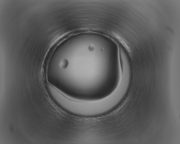 X0000116550876200912241553