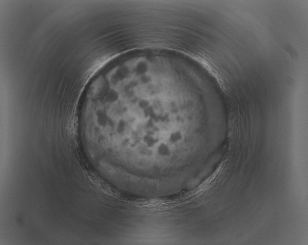 X0000116550879200912241553