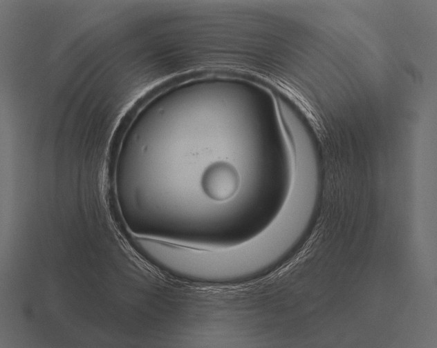 X0000116550880200912241553