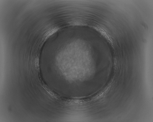 X0000116550881200912241553