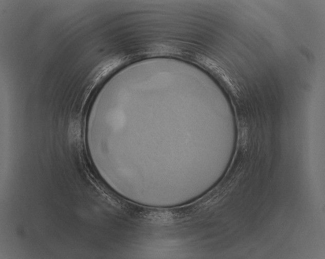 X0000116550882200912241553