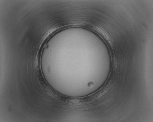 X0000116550883200912241553