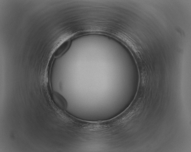 X0000116550885200912241553