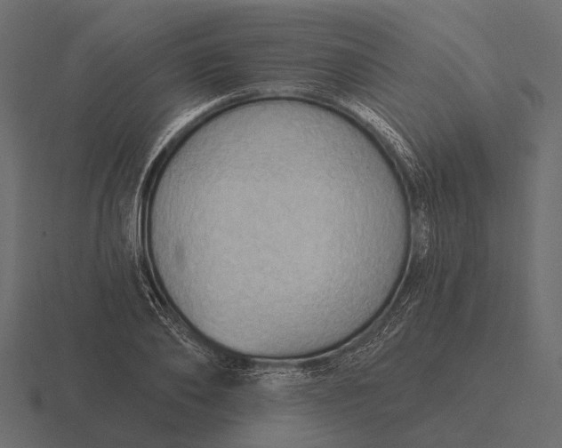 X0000116550886200912241553