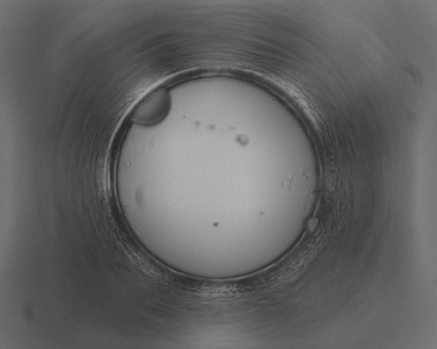 X0000116550887200912241553