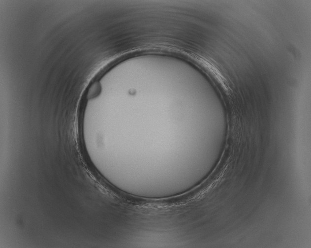 X0000116550888200912241553