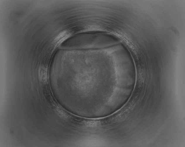 X0000116550889200912241553