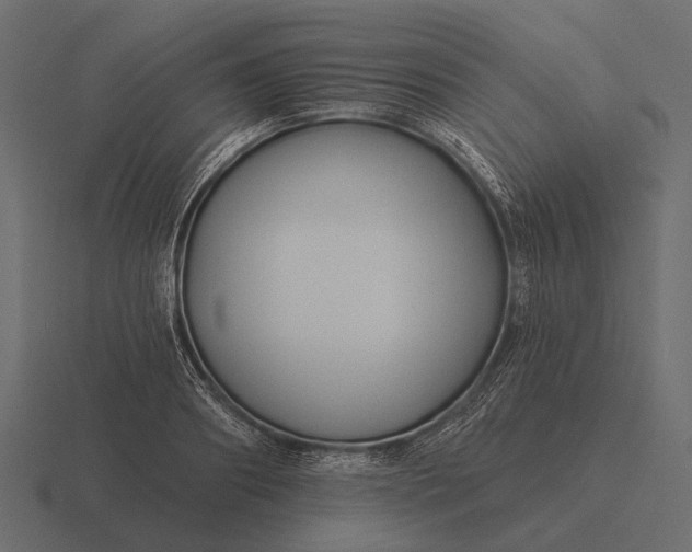 X0000116550890200912241553