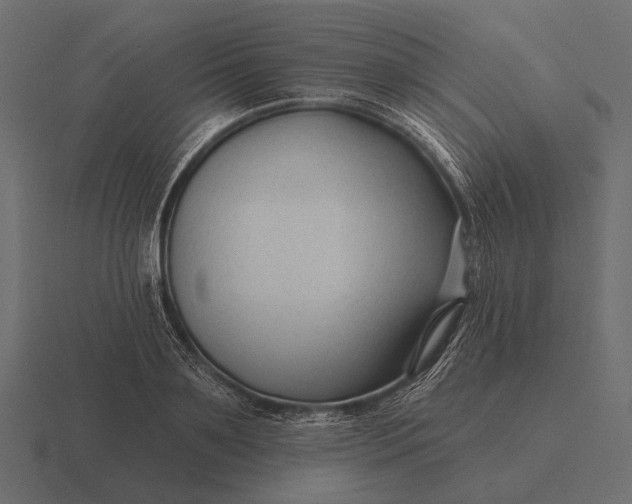 X0000116550891200912241553