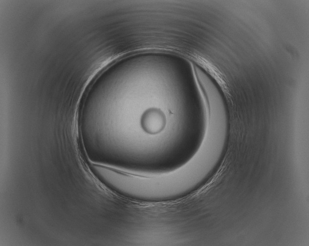 X0000116550892200912241553