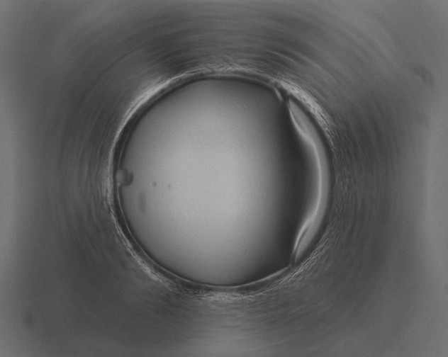 X0000116550894200912241553