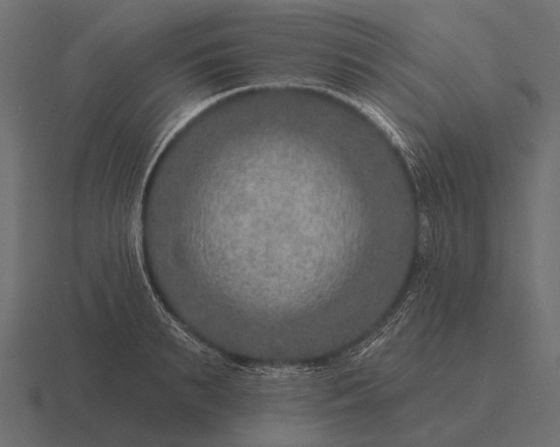 X0000116550895200912241553