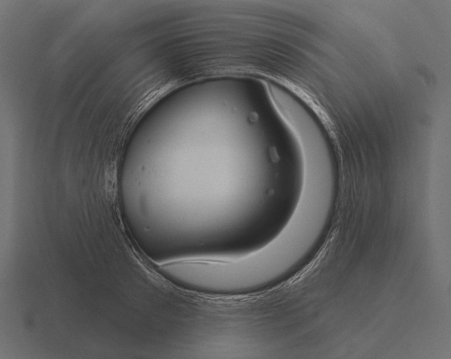 X0000116550897200912241553