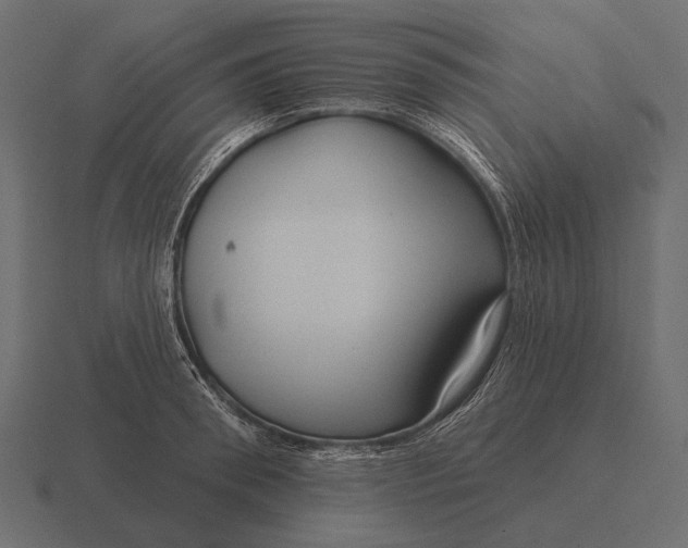 X0000116550898200912241553