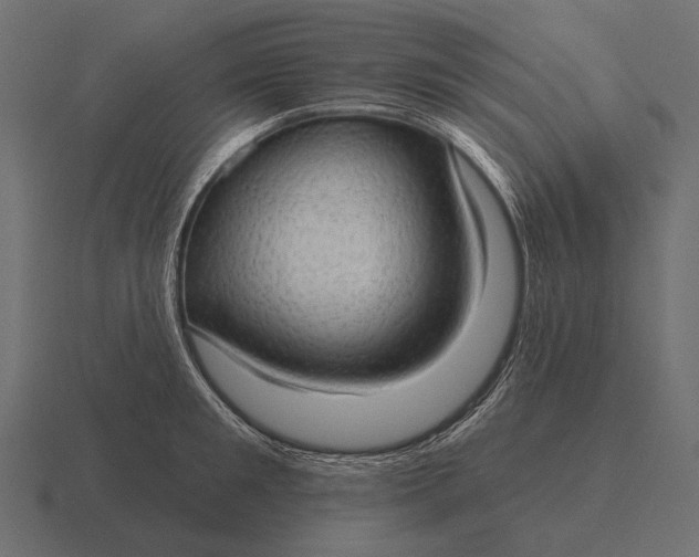 X0000116550901200912241553