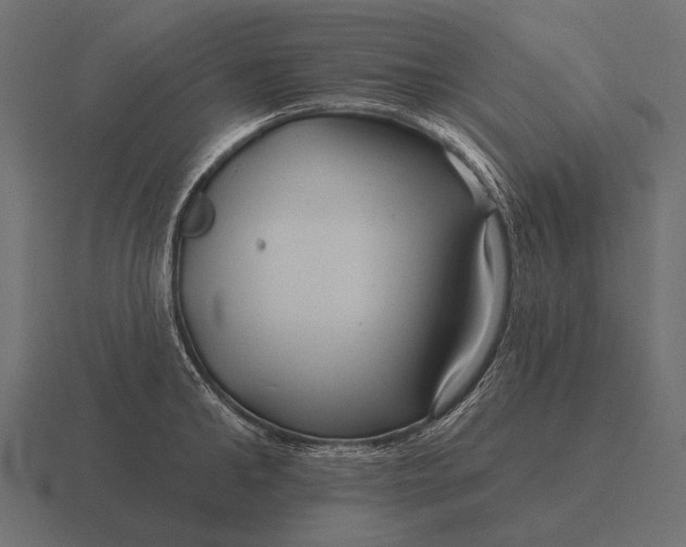 X0000116550902200912241553