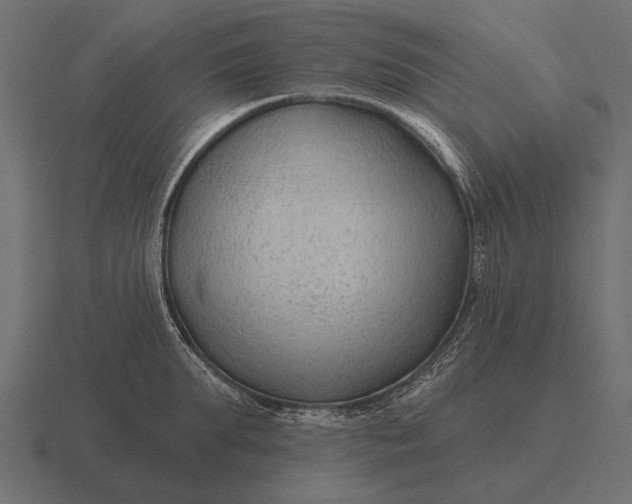 X0000116550903200912241553